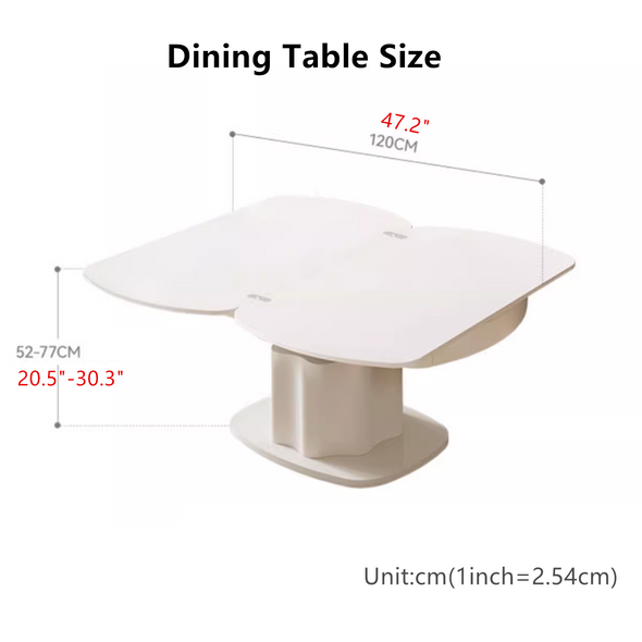 Liftable and Expandable Coffee Table