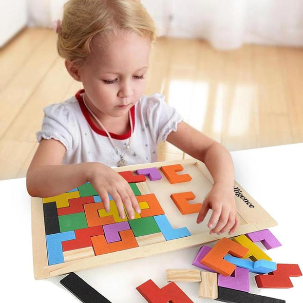 Brain Teasers Toy-Wooden Tetris Puzzle