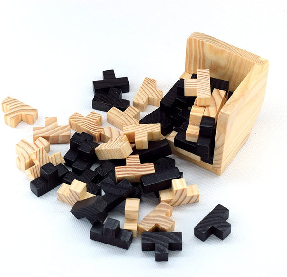 3D Wooden Brain Teaser Puzzle 54T