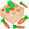 Carrots Harvest Shape Size Sorting Developmental Montessori Toys for 1 2 3 Year Old Boys and Girls